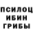 Галлюциногенные грибы GOLDEN TEACHER Alex Kaster